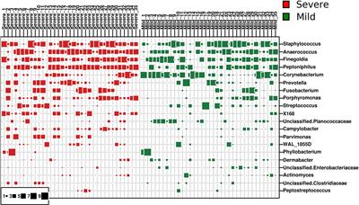 Imbalanced Dermic Microbiome Aggravates Inflammation in Toenail Paronychia